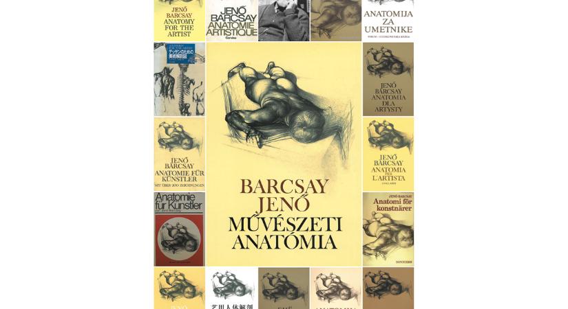 Barcsay-anatómia 70