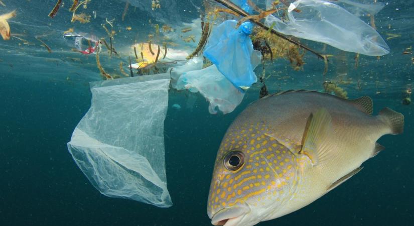 Évente több mint 200 ezer tonna műanyag kerül a Földközi-tengerbe
