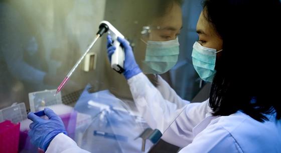 Vége lehet az állatkínzásnak, inkább laborban növesztett miniatűr szervekkel tesztelnék a védőoltásokat