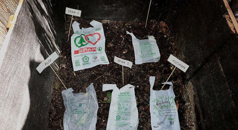 Akcióban a Greenpeace és a Humusz, lebomló zacskókat komposztálnak