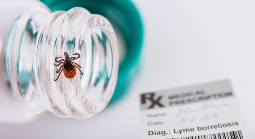 Lyme-kór: nem minden az, aminek látszik