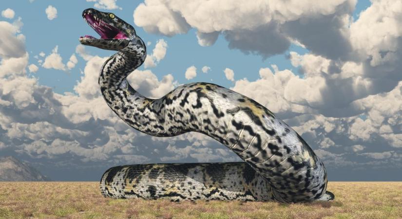 Ez volt minden idők legnagyobb kígyója