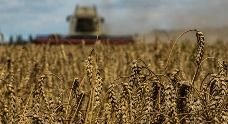 Először sérült az EU "Ukrajna mindenek felett" elve a gabona-ügyben