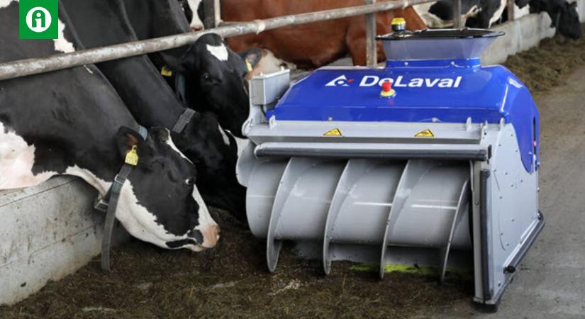 Kis befektetéssel is növelhető a tehenek tejhozama – mutatjuk, hogyan