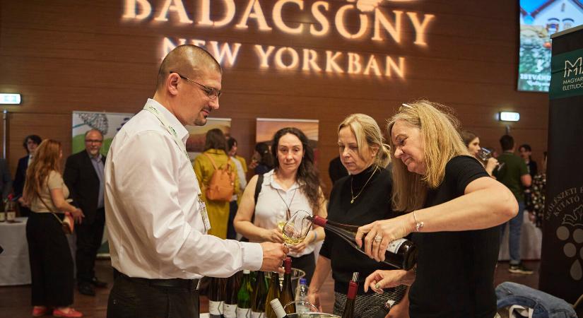 Badacsonyi borászok sikere a New Yorkban