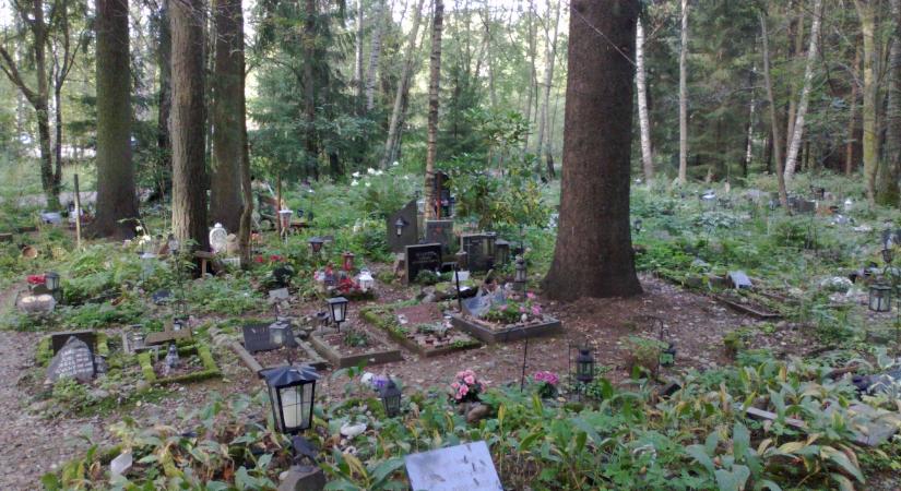 Mesélnek a kisállattemetők sírkövei: a házikedvencekhez való hozzáállás száz év alatt sokat változott