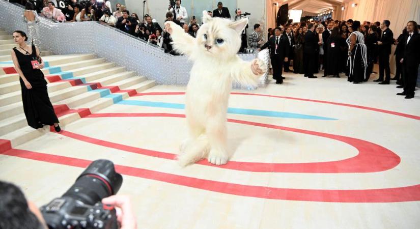 Jared Leto Karl Lagerfeld macskájaként érkezett a Met-gálára