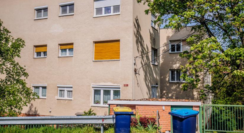 Kétéves kisfia szeme láttára gyilkolta meg anyját a rózsadombi fiatal nő