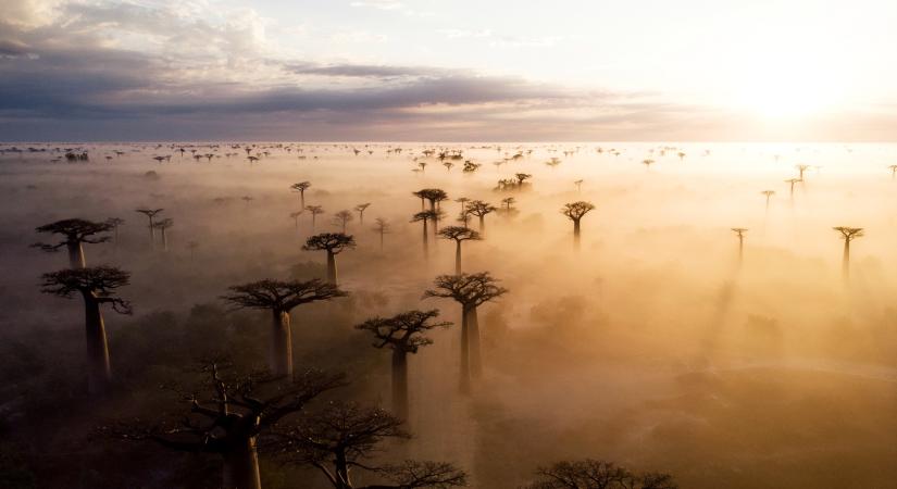 Vadregényes és szinte érintetlen a világ negyedik legnagyobb szigete: Madagaszkár