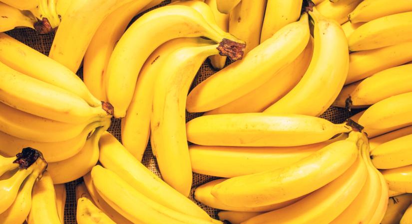 Banán-botrány: 120 ezer dolláros banánt evett meg a galériában