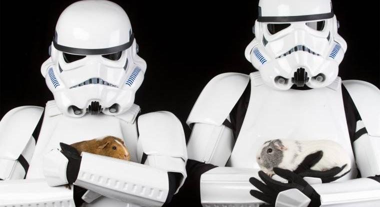 Iszonyú cuki képekkel bátorítanak Star Wars-rajongók örökbefogadásra