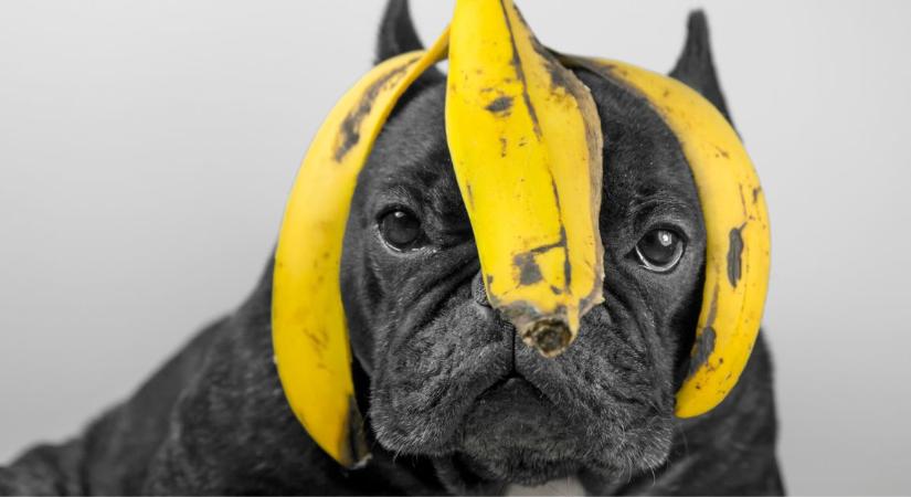 A ráncok ellen tényleg hatásosabb a banánhéj, mint a botox?