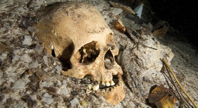 Emberi koponyát lopott az aberdeeni templomból egy tinédzser
