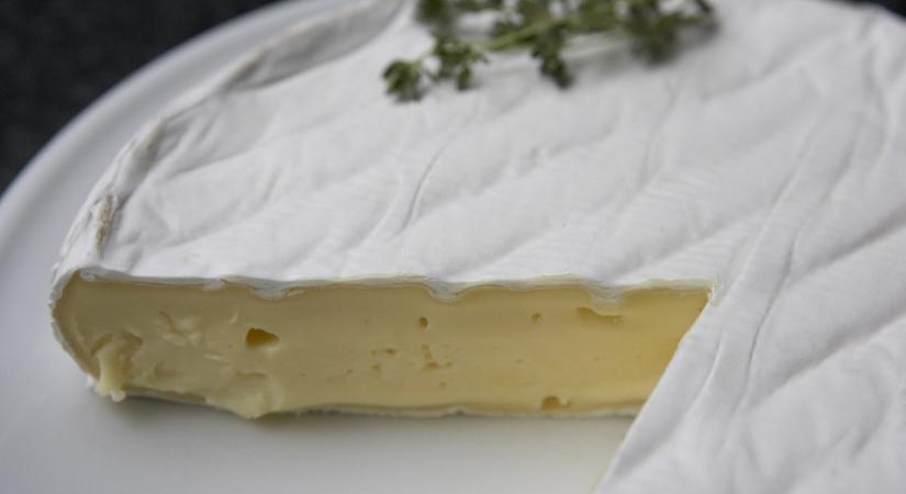 Vigyázat, hasmenést okozó baktérium lehet ebben a sajtban: ne edd meg, vidd vissza a boltba!