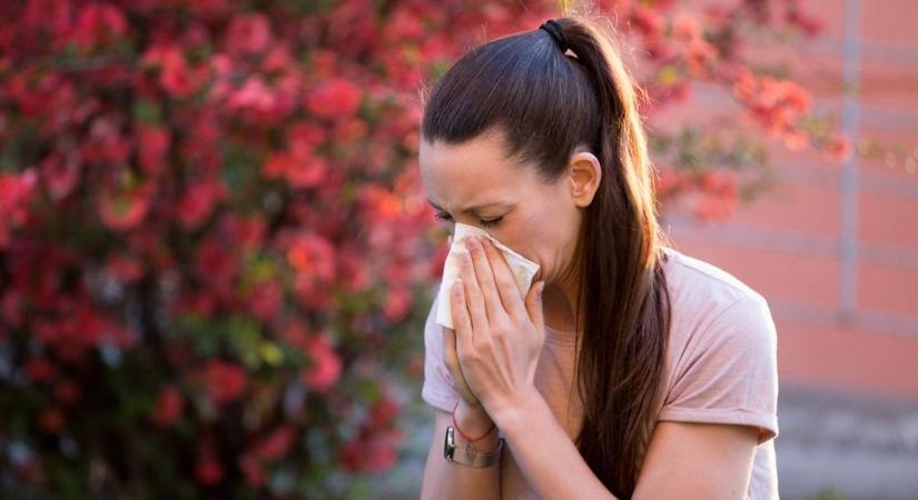 A globális felmelegedés miatt is erősebb az allergiaszezon