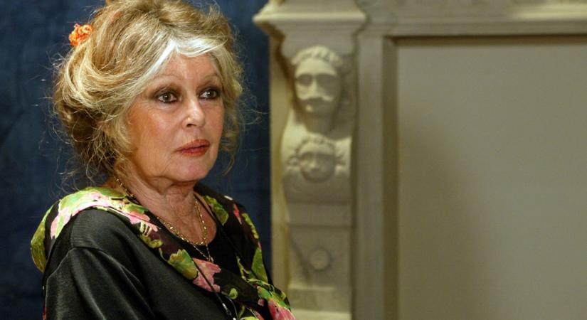 Veszélyben Brigitte Bardot élete: intenzív osztályra került