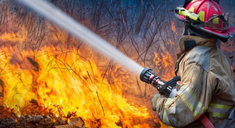 Két hektáron pusztítottak a lángok Mikófalván