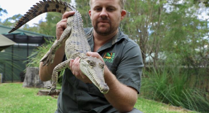 Egy ausztrál lakosnak is sok volt már, hogy egy krokodilt talált a hátsókertjében