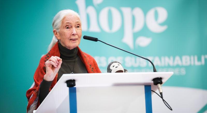 Jane Goodall, a remény nagykövete Veszprémben