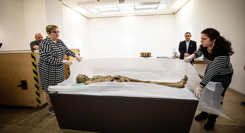 A szív nélküli apáca múmiájáról is lehullt a lepel a csabai múzeumban