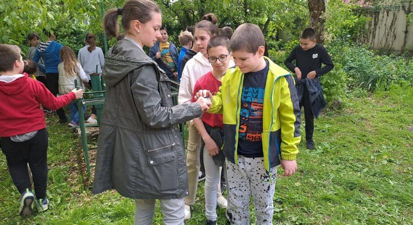 Madárgyűrűzés Berettyóújfaluban