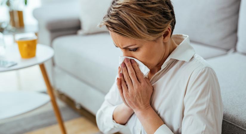 Így alakhat ki poratka allergiából asztma