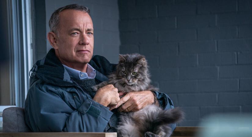 Tom Hanks bevallotta, hogy nehezére esett "viccesnek és elbűvölőnek" lennie a forgatásokon, miközben "az életem darabokra hullott"