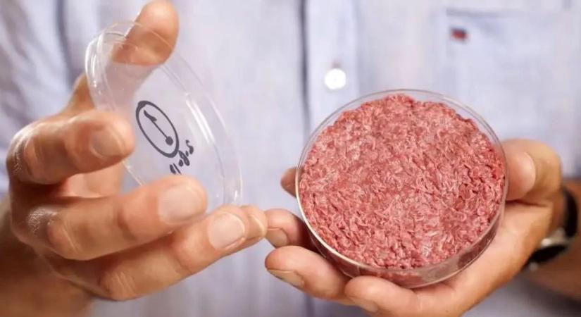 A laboratóriumi hús 25-ször károsabb lehet a környezetre, mint a marha