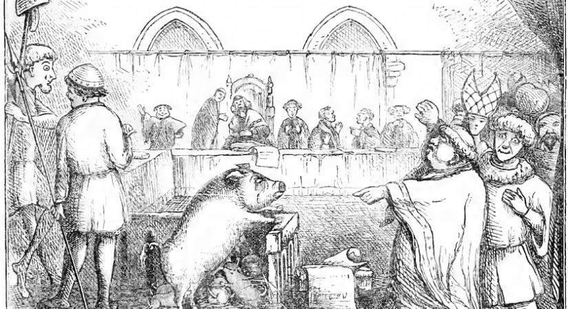 Disznókat és teheneket is komoly perekben ítéltek el vagy átkoztak ki a középkorban