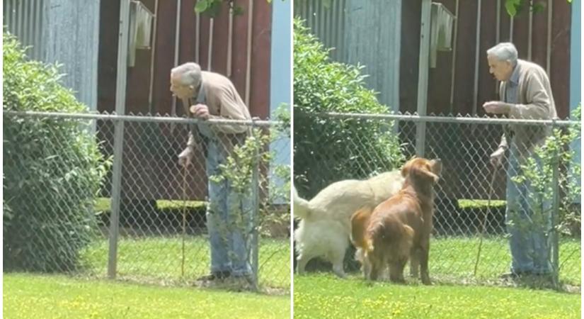 Videóra vette, hogyan kedveskedik a kutyáinak a 94 éves szomszédja