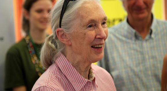 Jane Goodall: A családomban női ágon öröklődik a bátorság