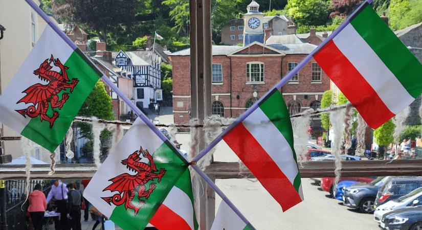 Walesi-magyar barátság napja
