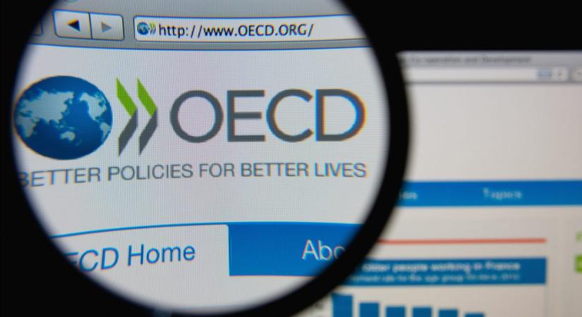 Az OECD-országokban stagnált a munkanélküliség