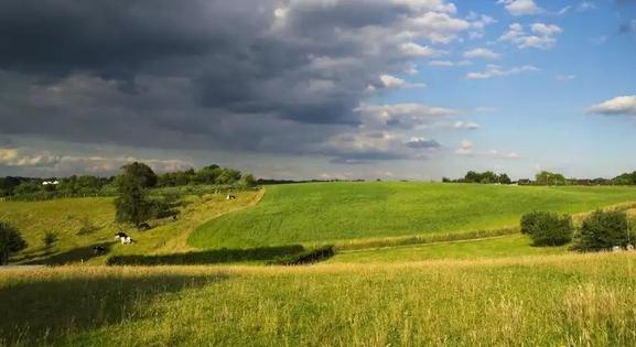 Egy forintért kaphatnak telket a tolnai borvidéken
