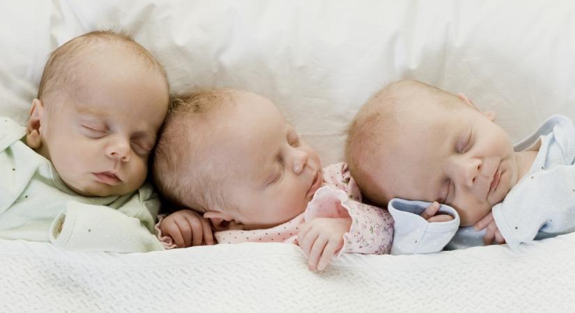 Igazi ritkaság: egypetéjű hármas ikrek születettek