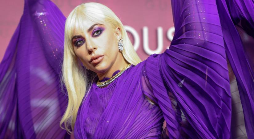 Különös okból szállták meg a rendőrök Lady Gaga házát