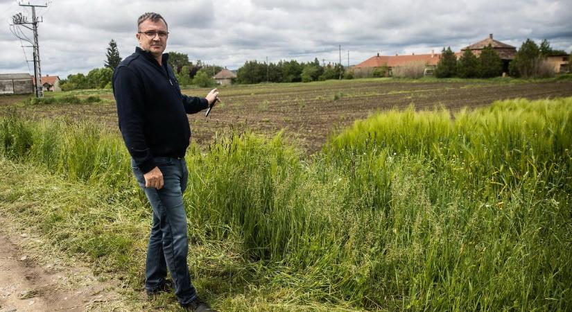 Milliós telkeket adnak 1 forintért a Tolna vármegyei kisfaluban! – Körbenéztünk a településen