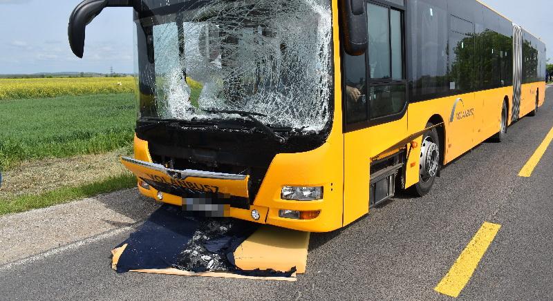 Elszabadult egy rekamié a 27-es főúton: darabokra törte a sárga busz szélvédőjét – fotók