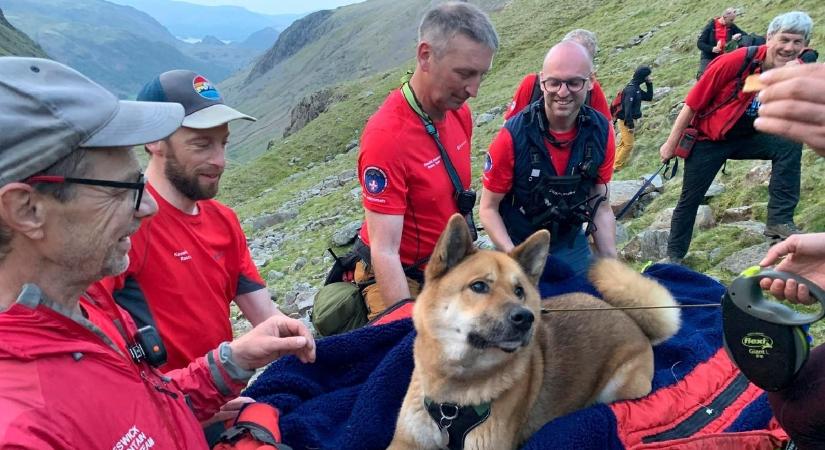 Sérült és kimerült kutyust mentettek Anglia legmagasabb hegyéről