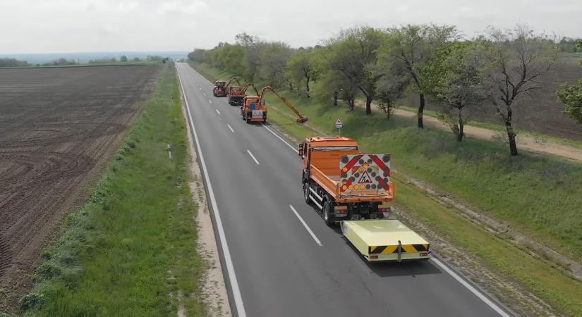 Kiemelt figyelmet fordít idén az út menti területek kaszálására a Magyar Közút