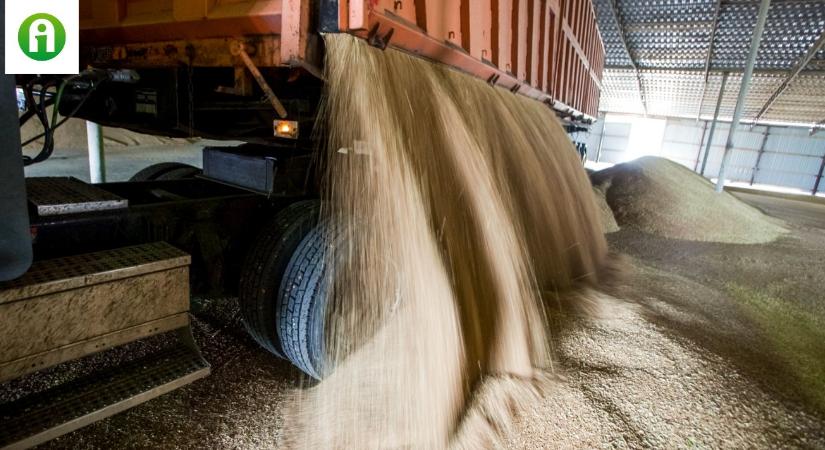 Vészesen közeledik az aratás, az AM felmérte, hogy mennyi gabona van a tárolókban