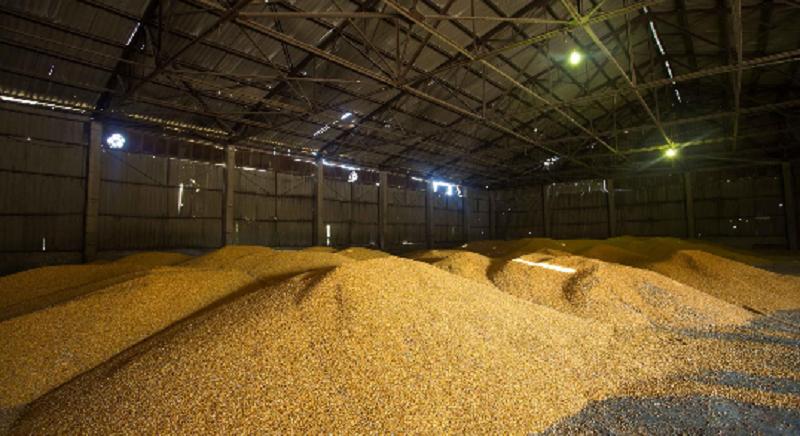 Aratás előtt a hazai gabonatárolók fele üres