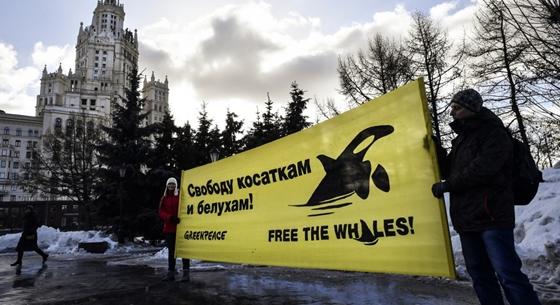 Oroszországban már a Greenpeace is közellenség lett