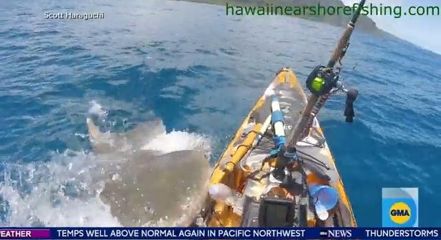 Hawaii közelében tigriscápa támad egy horgászra (videó)