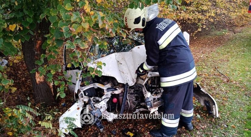 Megrázó fotón a Dunaalmásnál fának csapódott autó
