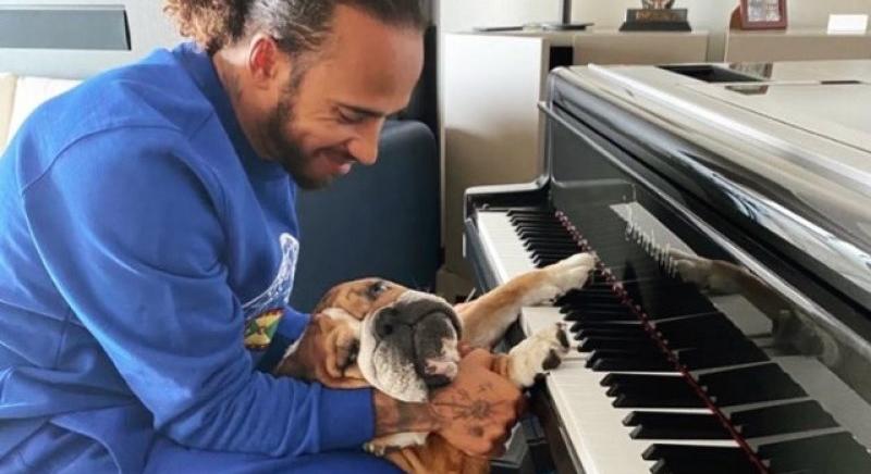 A vegán Roscoe már zongorázni is tud?