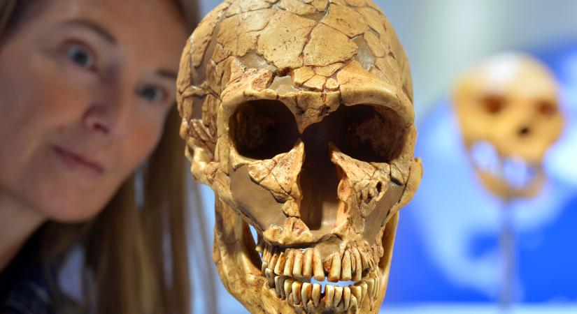 Megfejthették, miért tűnt el a neandervölgyi ember