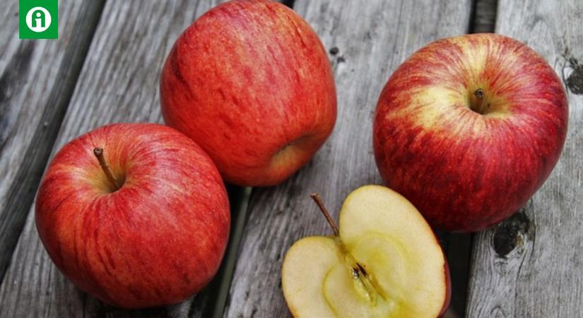 12,6%-kal alacsonyabbak az áprilisi európai almakészletek mint 2022-ben