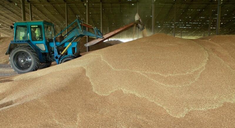 Kihatással voltak-e a nyugati szankciók az orosz gabonaexportra?