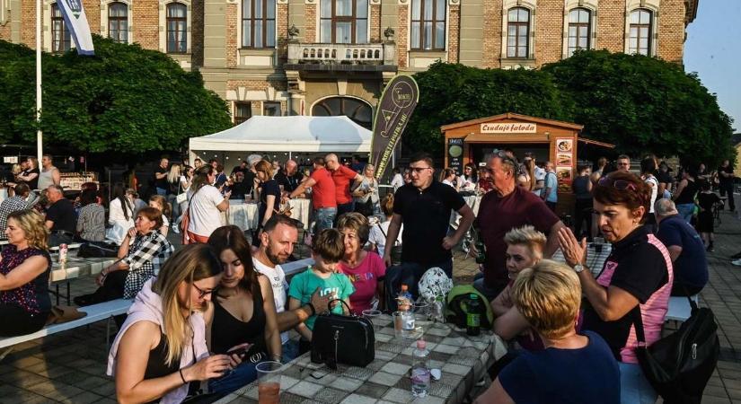 Kiválóságokat ismertek el Tolna város napján